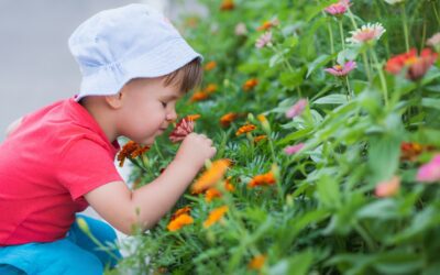 Creating an Effective Sensory Room for Students
