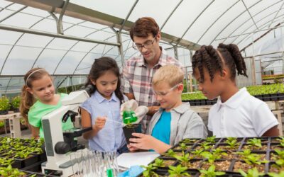 Building New Outdoor Learning Spaces: Cutting Edge Initiatives for a Post-Covid World