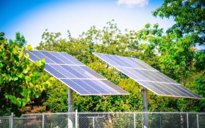 Environmentally Preferred Purchasing: A New Strategy to Help K-12 Schools Go Green