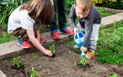 The Power of Biophilic Design in Learning Spaces: What, How, and Why?