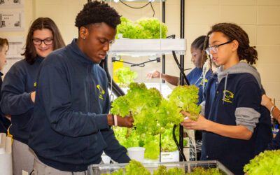 Enhancing Education Through Biophilia: Bringing Nature into Schools