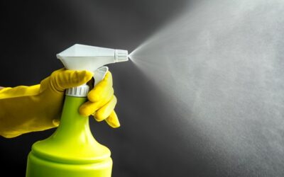 3 Reasons to Start Buying Green Cleaning Supplies: Cost Savings, Health, and Supporting Local Businesses